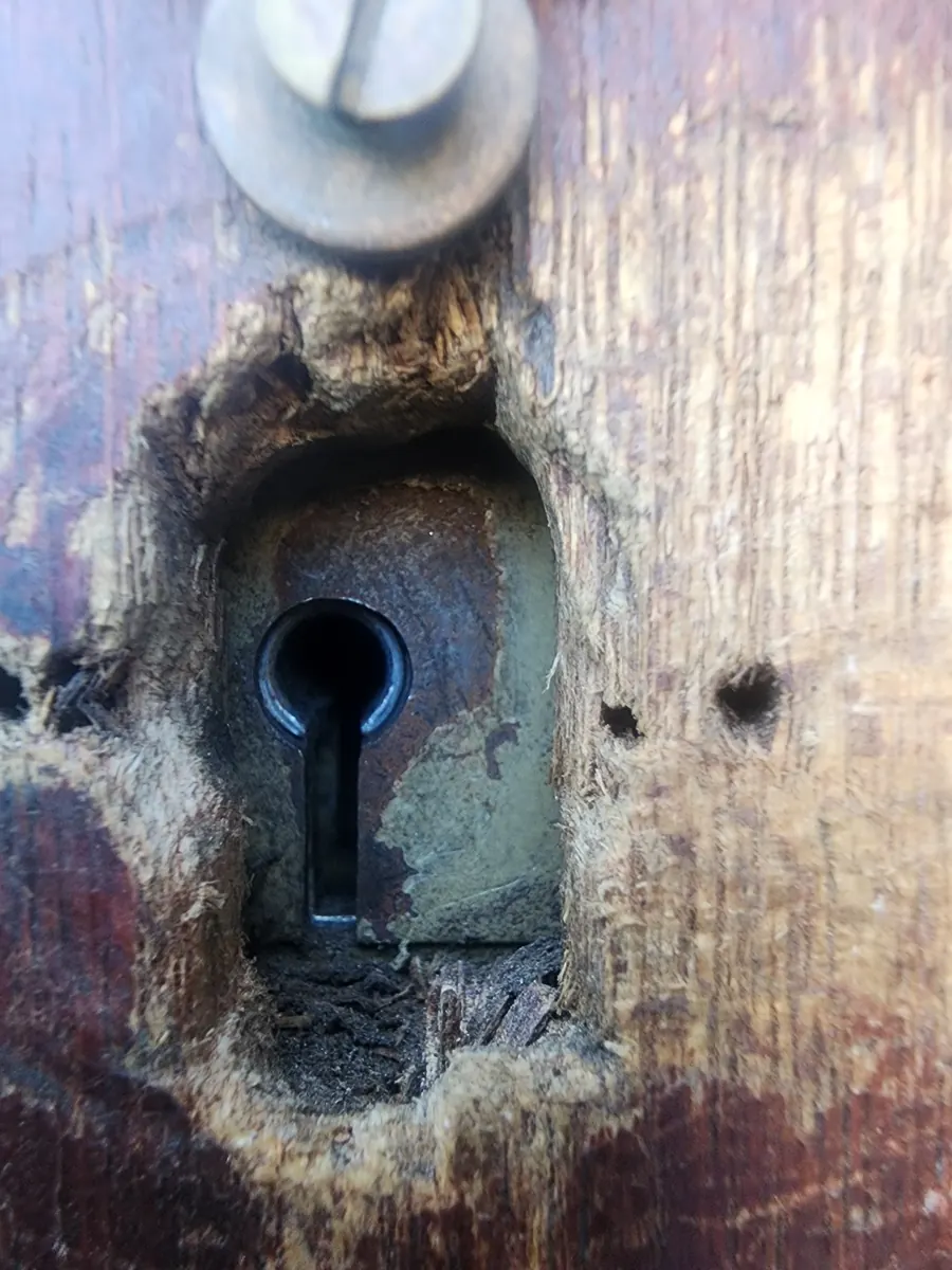 Mortice lock surround split open where the door was forced.